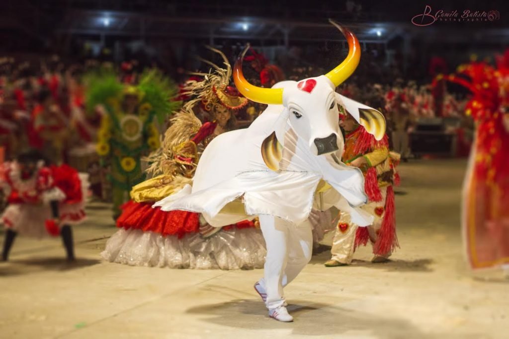 Final de semana tem feijoada e ensaio show do Garantido em Manaus