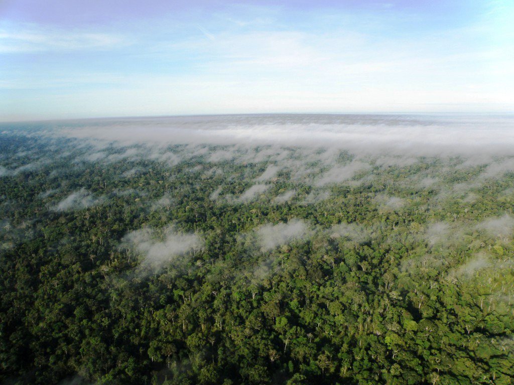 Entenda como o deserto do Saara participa do regime de chuvas da Amazônia, a 5 mil km de distância