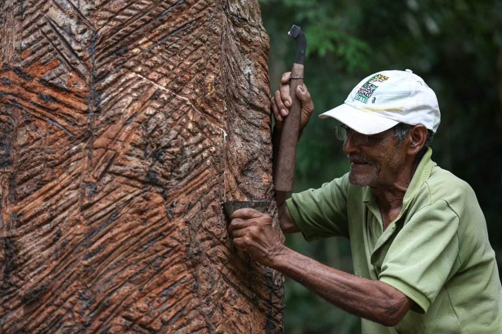 Museu do Seringal Vila Paraíso recebe programação especial em alusão à Semana Nacional dos Museus