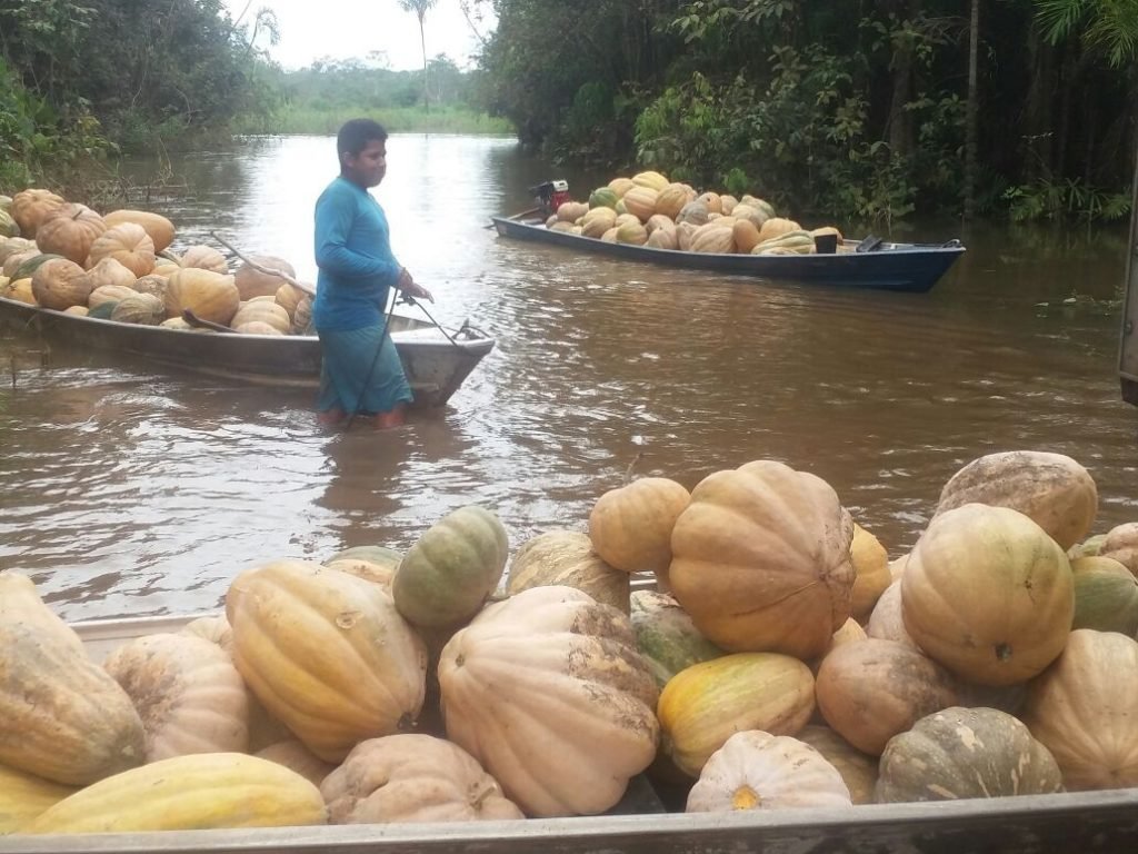 Balcão de Agronegócio da ADS viabiliza a venda de sete toneladas de alimentos para a rede de supermercados Nova Era