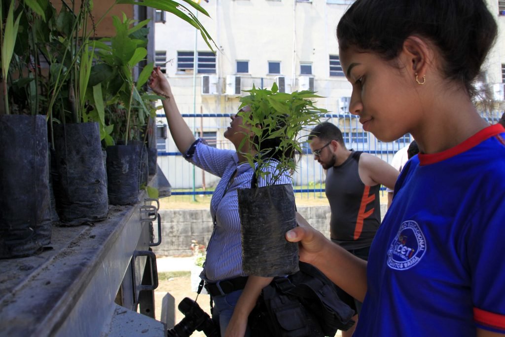 Dia Nacional da Árvore comemorado nesta sexta-feira com plantio de 300 mudas em área verde