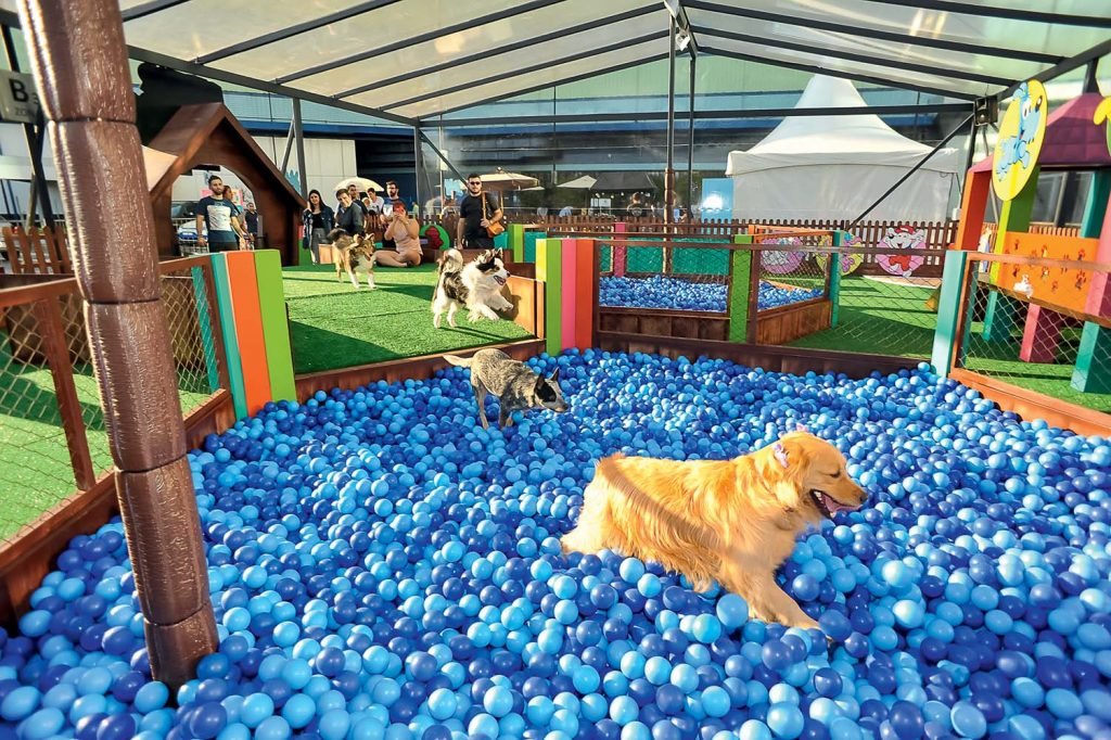 No mês das crianças, Amazonas Shopping terá espaço temático da Turma da Mônica para os pets