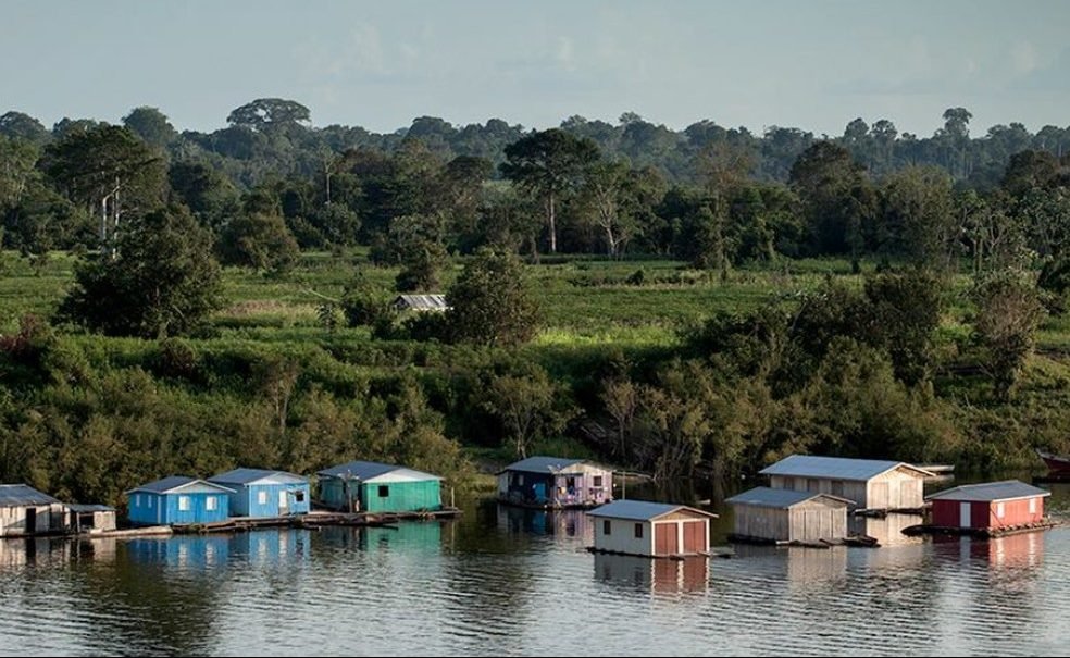 Natura lança aliança de empreendedorismo na Amazônia e promove a economia de floresta em pé