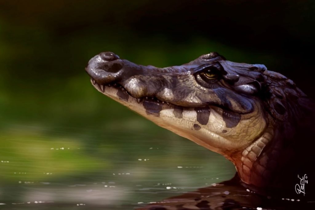 Fóssil de jacaré revela nova espécie que viveu na Amazônia há 10 milhões de anos