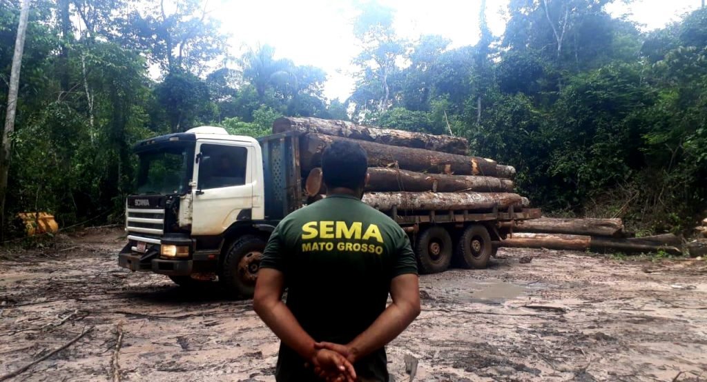 Amazônia perde capacidade de absorver CO2 com desmatamento, mostra estudo