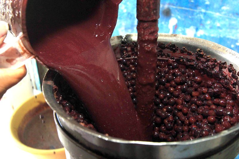 Prêmio Elos da Amazônia 2021 vai reconhecer tecnologias inovadoras para a cadeia produtiva do açaí