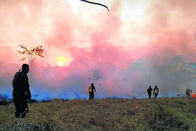 Pesquisadores lançam Sumário Executivo de Relatório de Referência sobre a Amazônia
