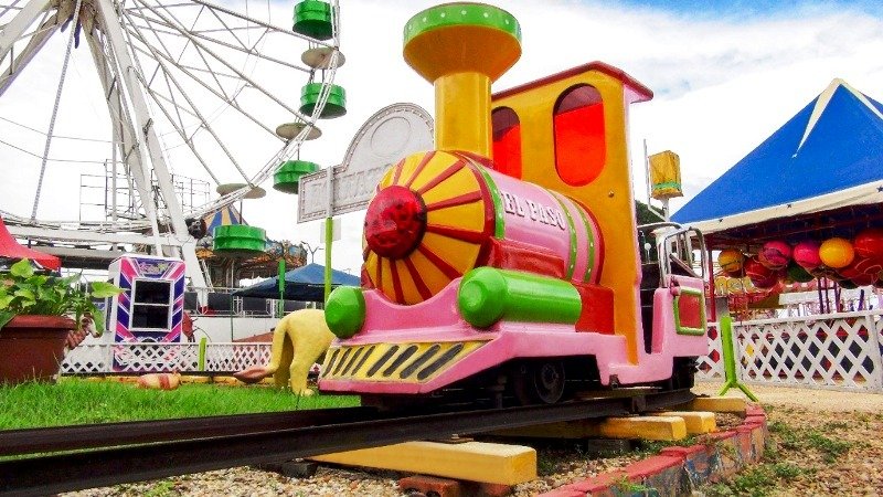 Projeto ‘Terça Solidária’ irá ajudar animais resgatados em situação de maus-tratos em Manaus