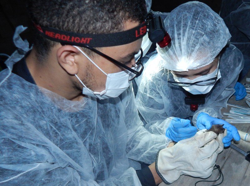 Estratégias de qualificação e novas metodologias sobre saúde pública na Amazônia são temas de evento gratuito