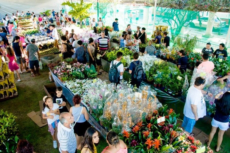 Feira de Flores de Holambra volta a Manaus a partir do dia 16 de setembro