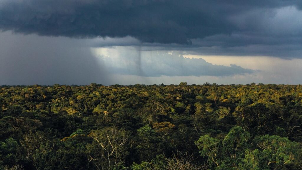 La Niña impactará o padrão de chuvas na região amazônica pelo terceiro ano seguido Nuvem de chuva sobre trecho de floresta no estado do Amazonas. Foto: Rogerio Assis