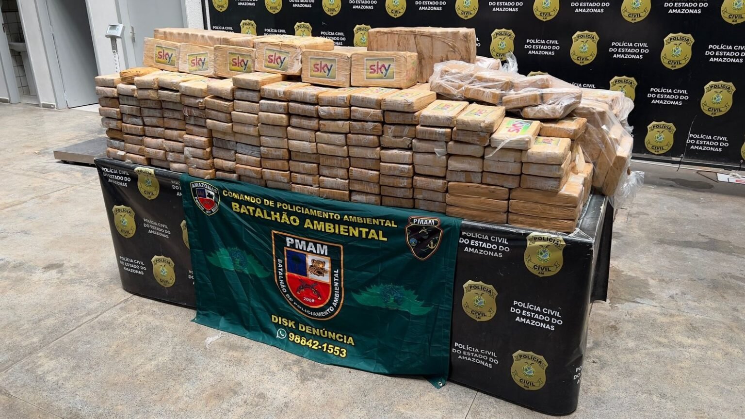 Carga cocaína milhões Amazonas