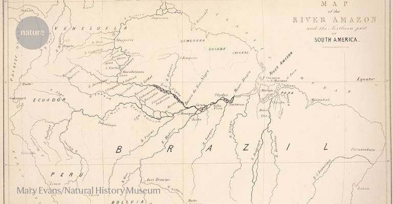 Publicação centenária indígenas estudar biodiversidade Amazônia