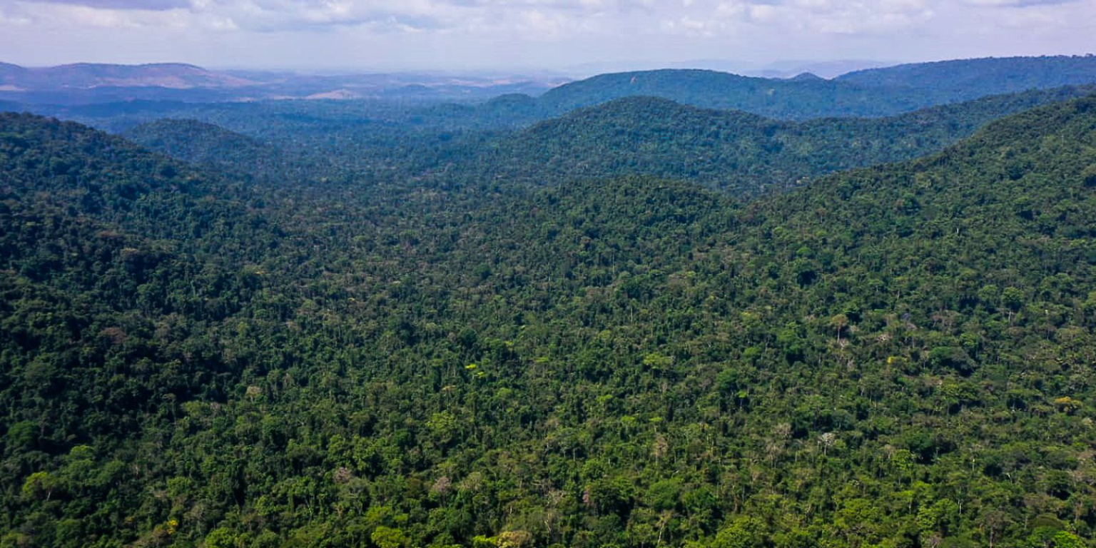 EUA irá aplicar R$ 2,5 bilhões no Fundo Amazônia em cinco anos EUA bilhões Fundo Amazônia