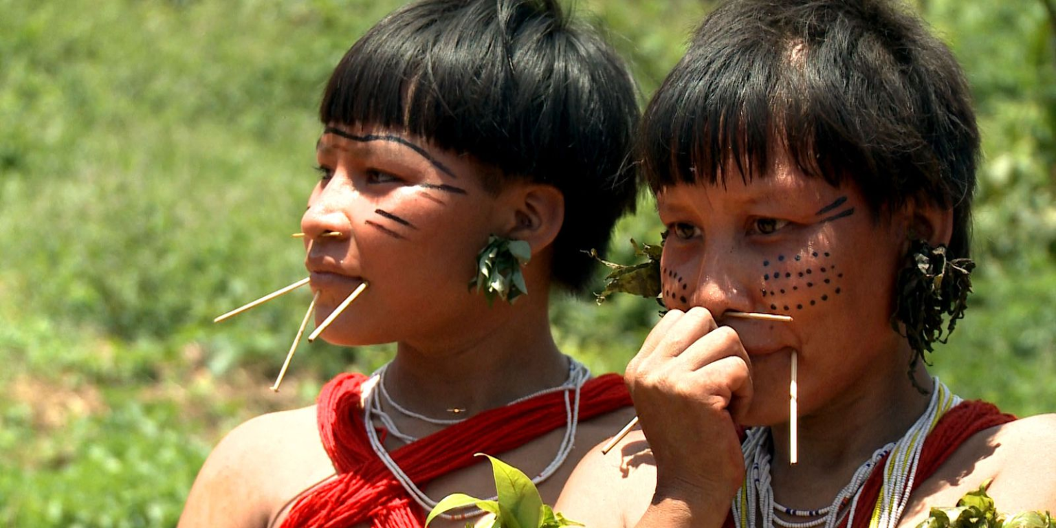Comunidades Yanomami cestas básicas