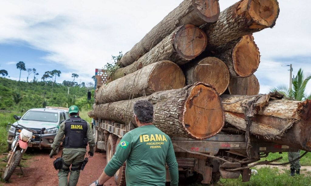 Governo federal autoriza contratação de 257 servidores para o Ibama