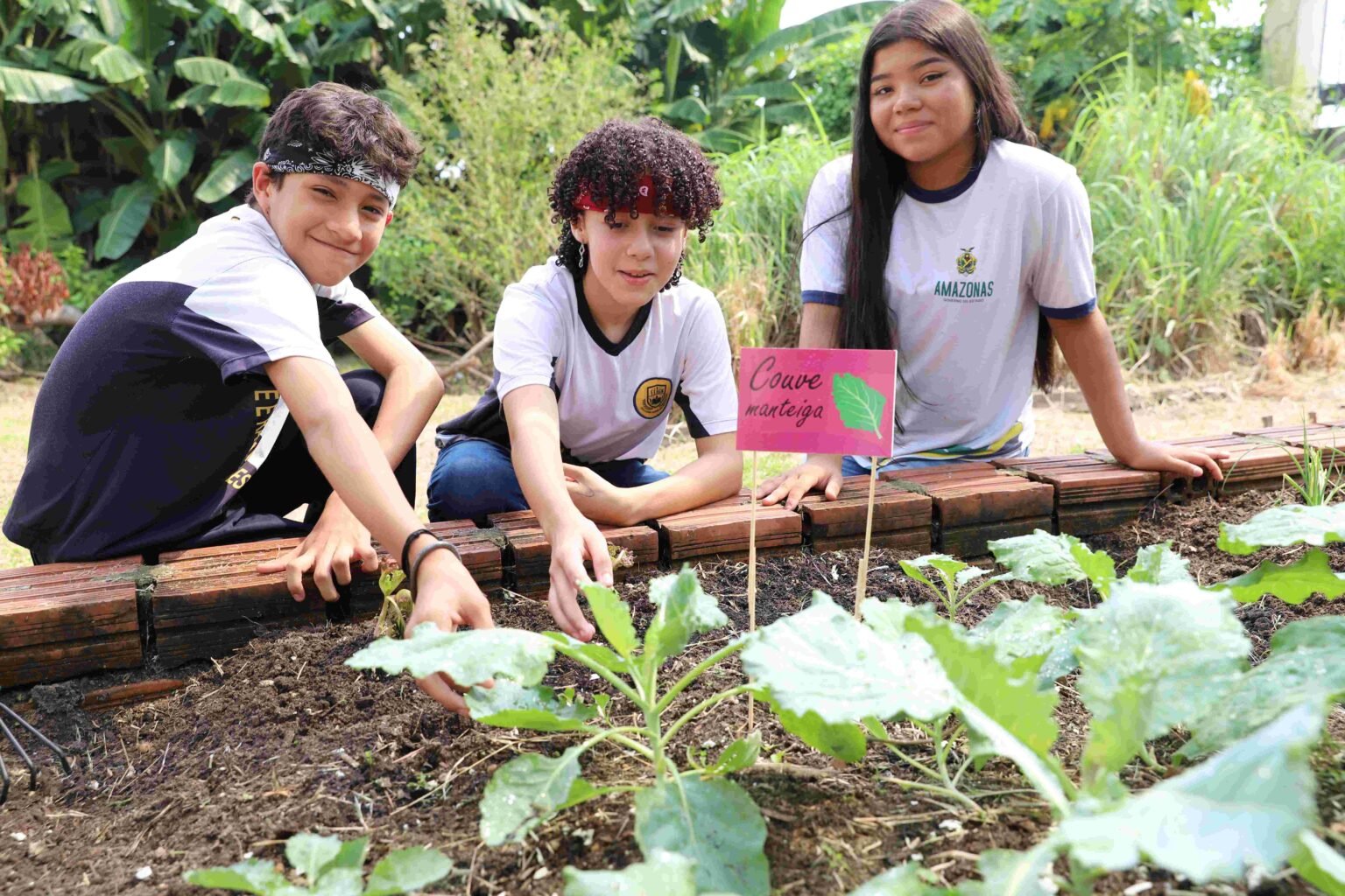 Projeto pedagógico aproxima estudantes do cultivo de horta em escola estadual
