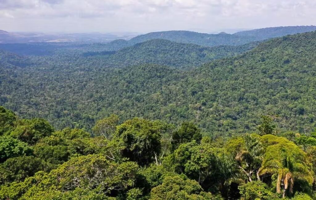 Incra estabelece diálogo sobre regularização fundiária de quilombolas