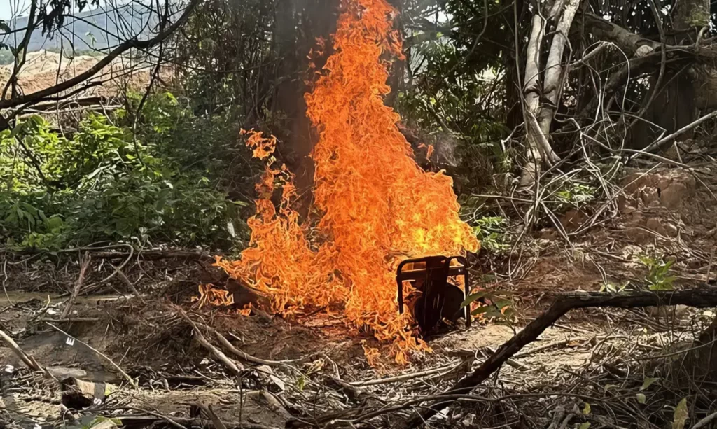 PF combate extração ilegal de ouro em terra indígena