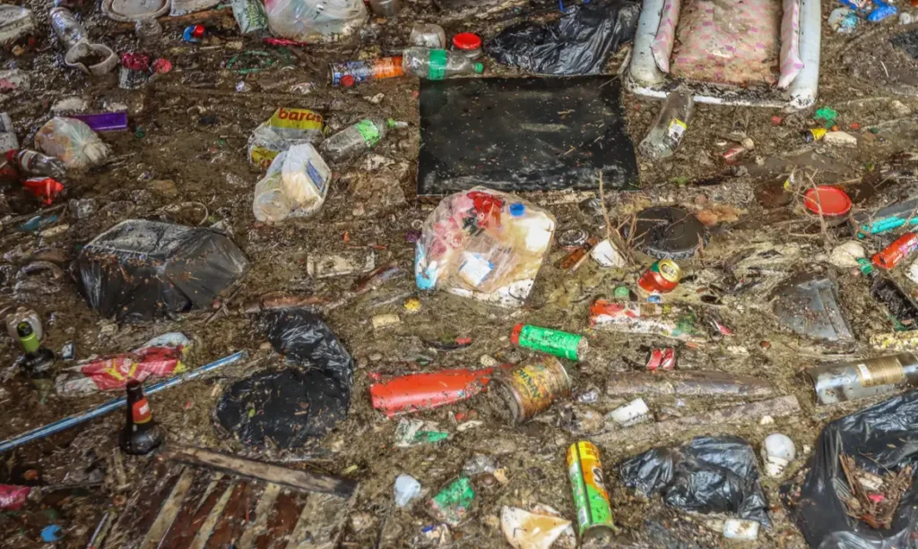 pesquisadores brasileiros