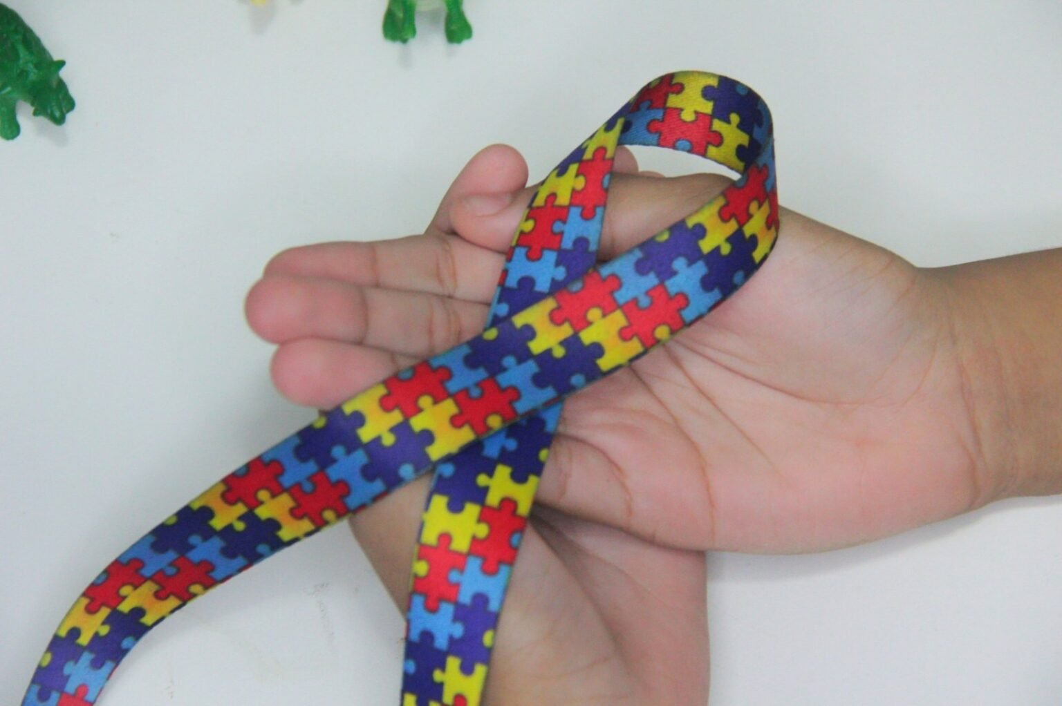 Projetos para PCDs e pessoas com autismo estão no radar da candidata à vereadora Therezinha Ruiz