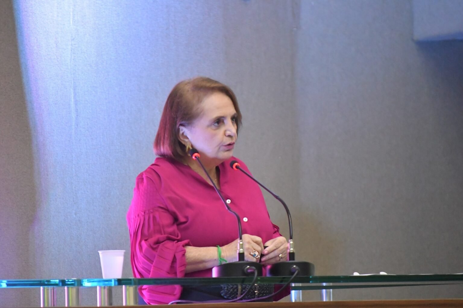 Campanha pelo aleitamento deve ser permanente, diz Therezinha Ruiz campanha