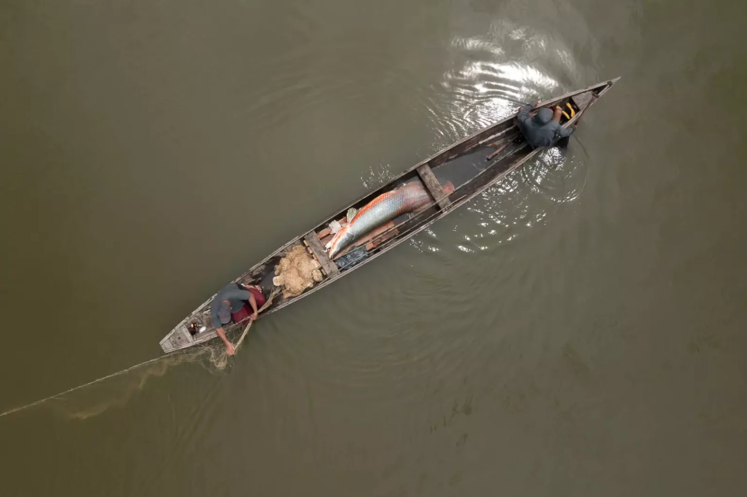 Pirarucu/filme Divulgação / Secretaria de Cultura e Economia Criativa