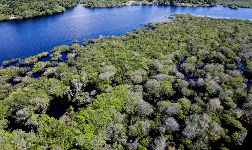Amazônia títulos verdes