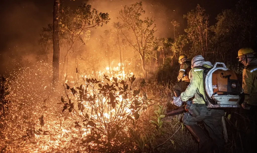 fogo queimadas incêndios