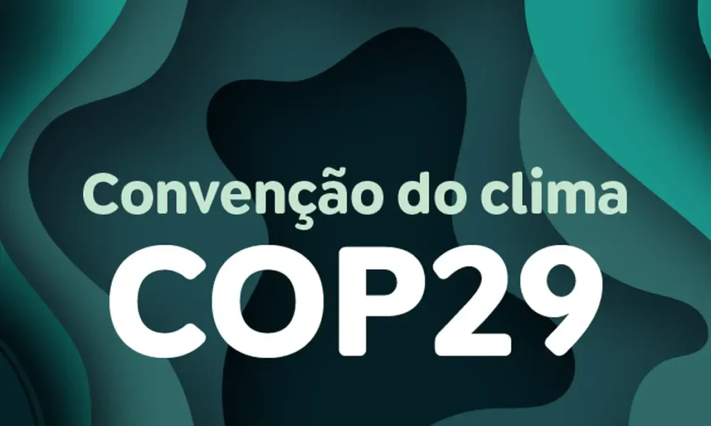 COP29