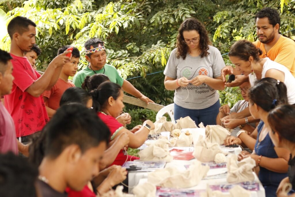 Tapauá: resistência e inovação na fronteira do desmatamento amazônico amazônico