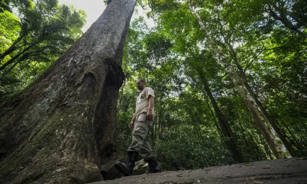 Conabio lança novas metas de conservação da biodiversidade para 2030 Conabio