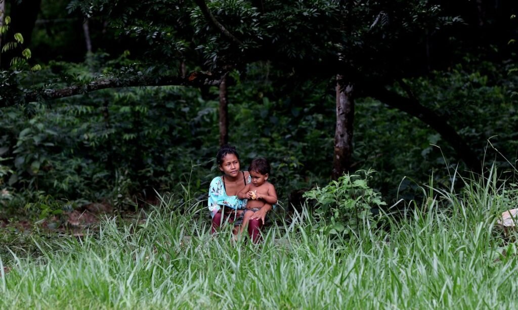 Preservação de biomas em terras indígenas é 31% maior, diz ISA terras indígenas