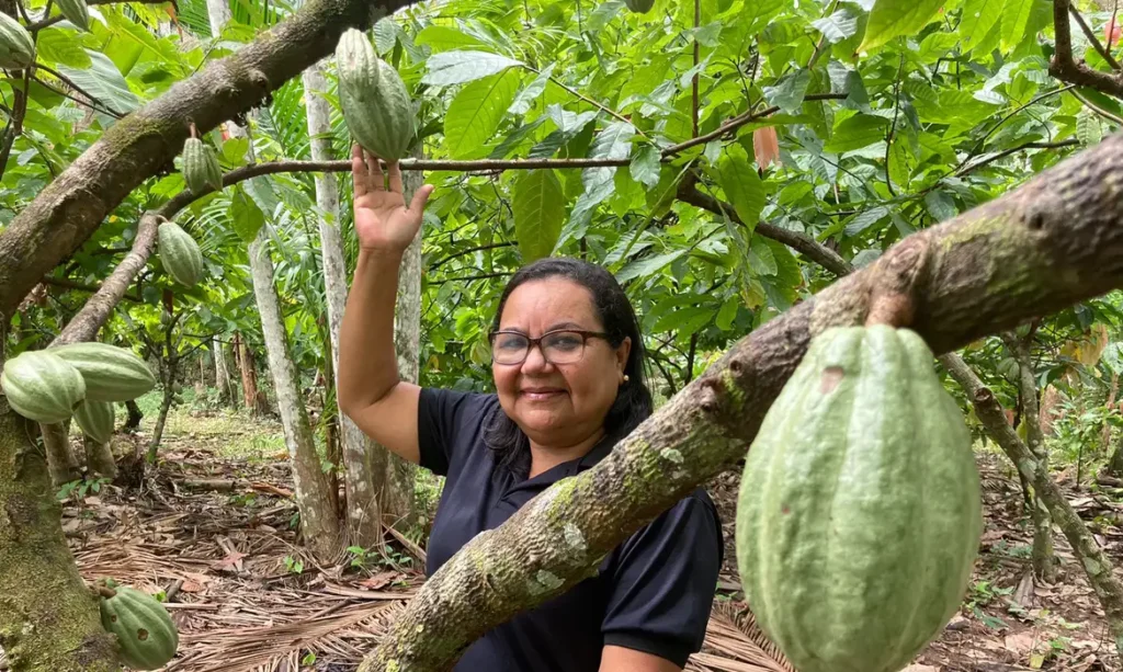 Potencial para bioeconomia atrai investimentos na Amazônia Amazônia