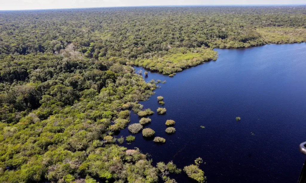 Amazônia e Cerrado registram queda de 11% no desmatamento Amazônia