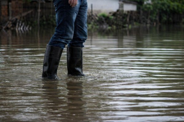 Chuvas intensas elevam risco de leptospirose no Amazonas Leptospirose