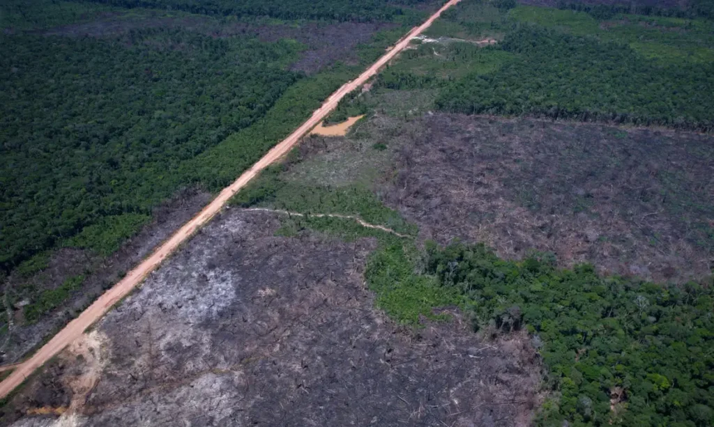 Alertas de desmatamento caem 35% na Amazônia e 6% no Cerrado desmatamento