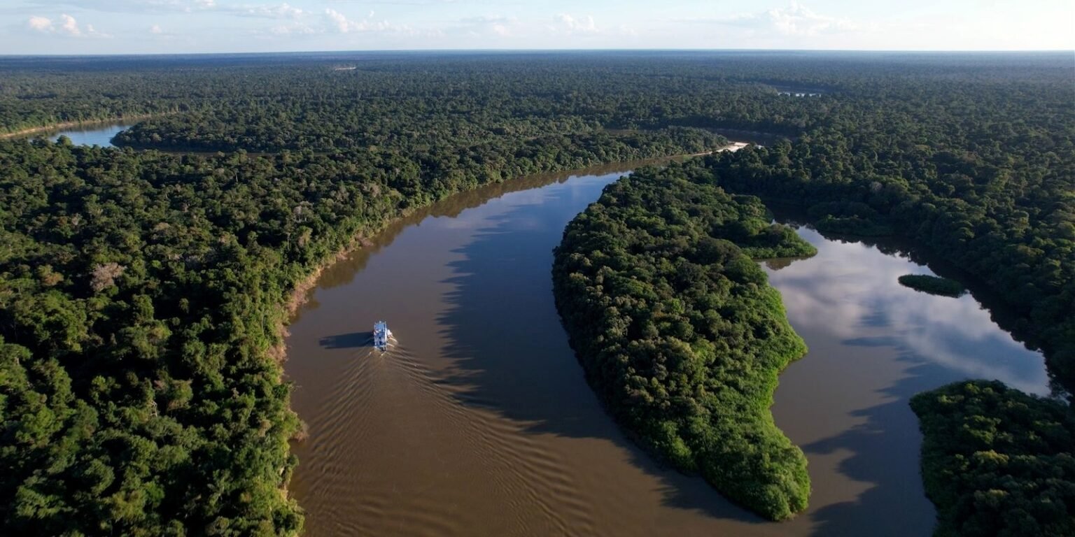 Área desmatada no Amazonas cai 57% nos cinco primeiros meses de 2026, apontam dados do Inpe Desmatamento