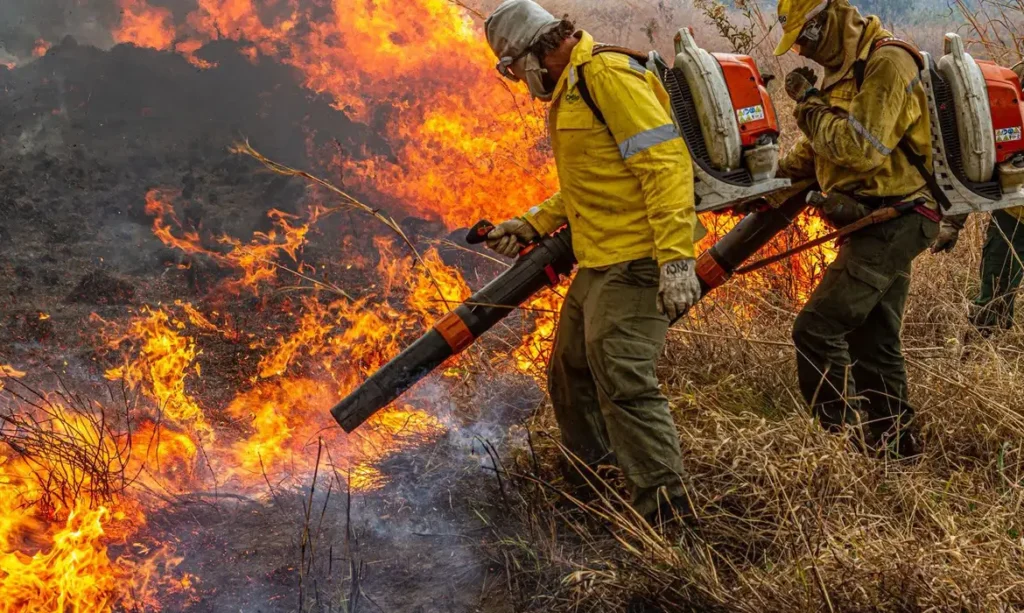 Governo repassa R$ 337 milhões para combate a incêndios e desmatamento Desmatamento