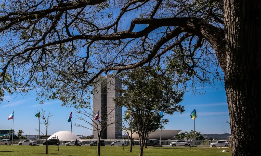 Crianças