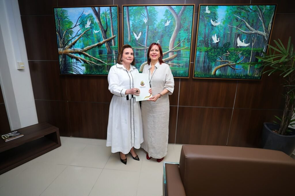 Presidente do TCE-AM entrega à Justiça Eleitoral relação de gestores com contas irregulares TCE-AM