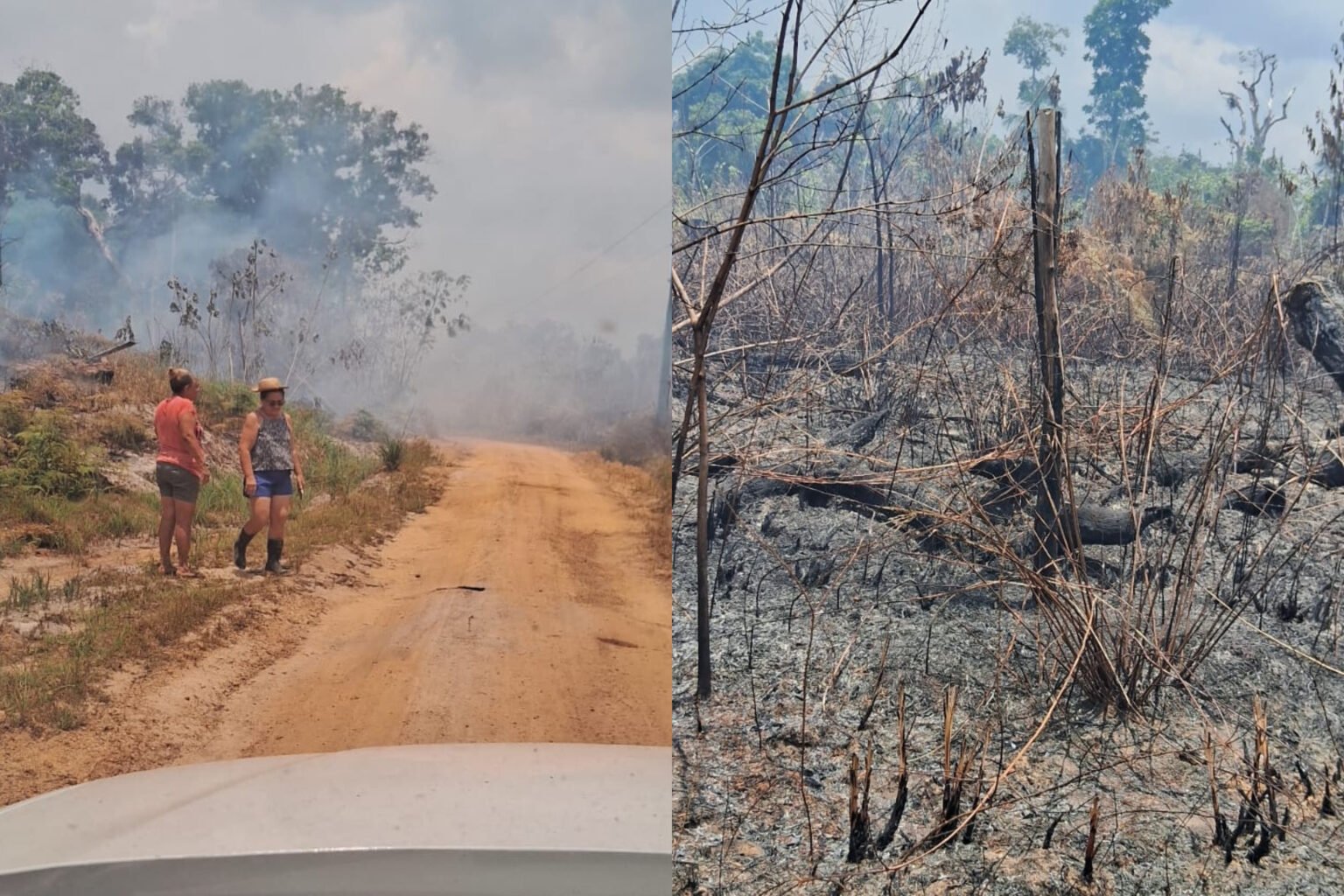 Moradores relatam abandono durante incêndio florestal entre Manacapuru e Novo Airão