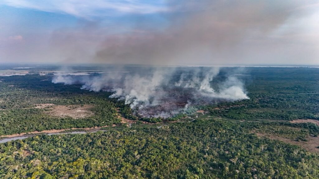 Incêndio no Canaçari chega ao 13º dia e já destruiu mais de 800 hectares Incêndio