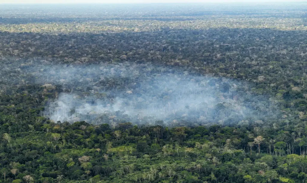 Amazônia
